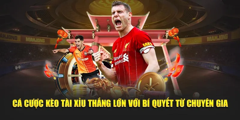 Cá cược kèo tài xỉu thắng lớn với bí quyết từ chuyên gia