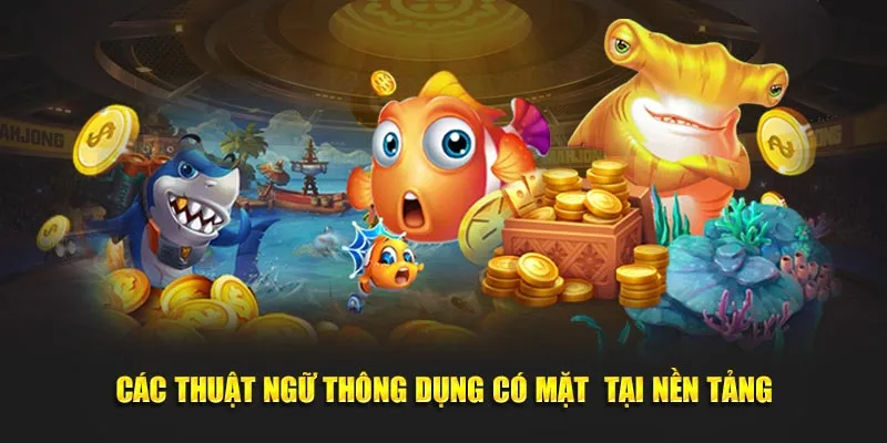 Các thuật ngữ thông dụng có mặt tại nền tảng