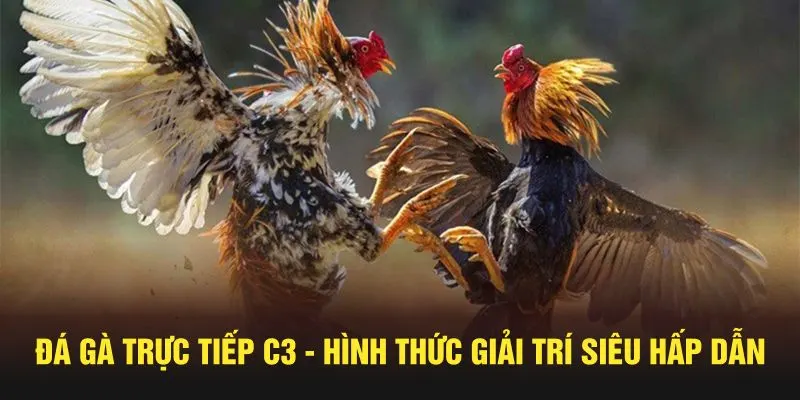 Khái quát sơ lược về hình thức giải trí thú vị, chất lượng hiện nay