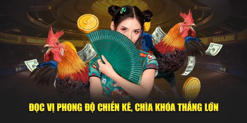 Đọc vị phong độ chiến kê, chìa khóa thắng lớn