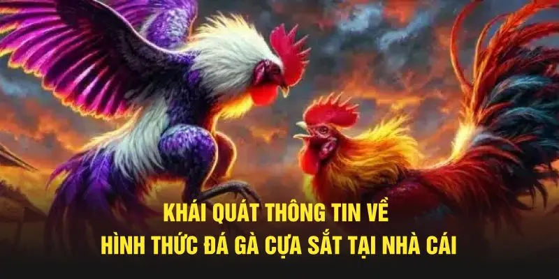 Khái quát thông tin về hình thức giải trí thú vị tại nhà cái