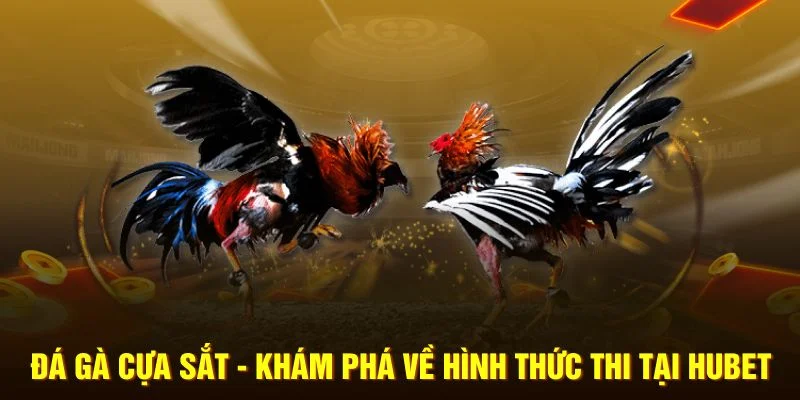 Khái quát thông tin về hình thức đá gà cựa sắt