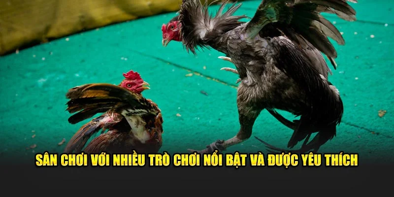 Sân chơi với nhiều trò chơi nổi bật và được yêu thích