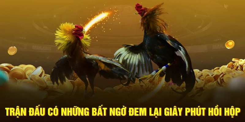 Trận đấu có những bất ngờ đem lại giây phút hồi hộp